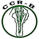 CCR-B